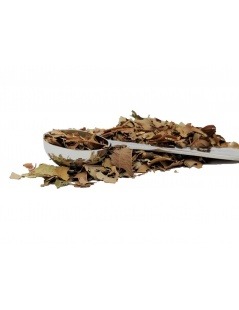 Chá de Goiabeira (Psidium guajava Linné)