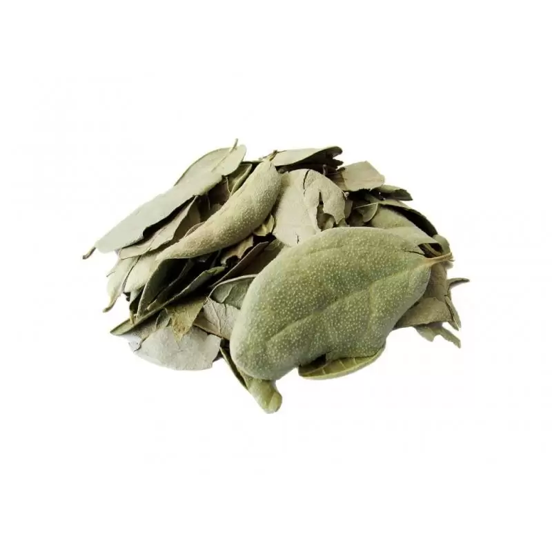Boldo Herbal Tea leaves...