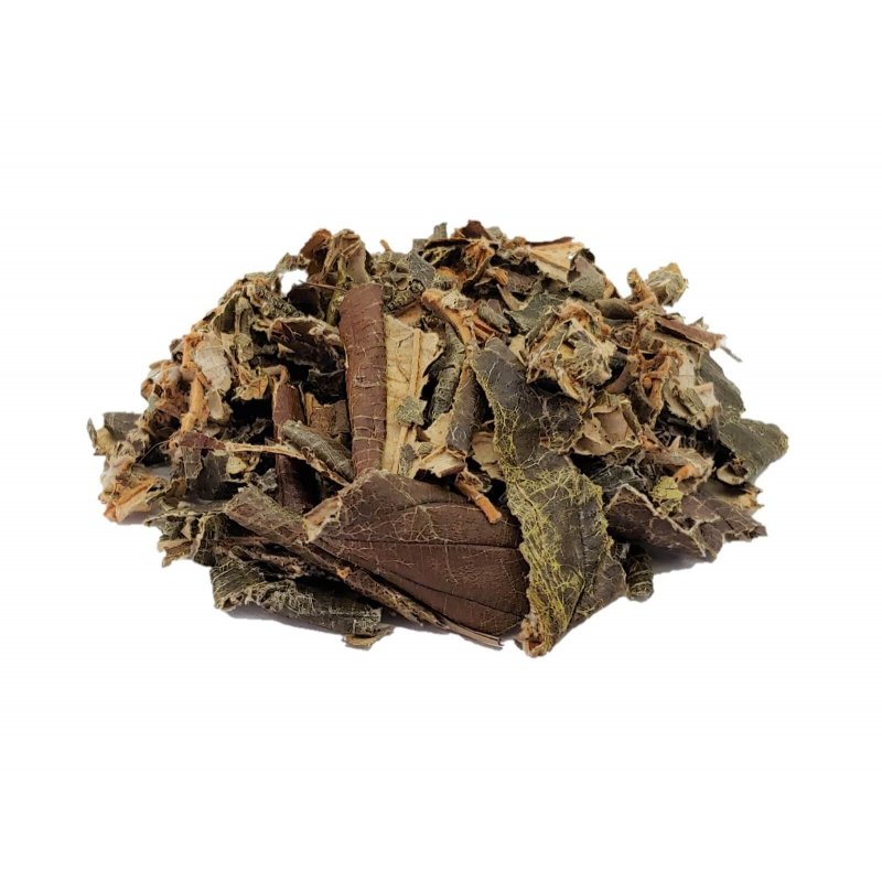 Chá de Canela de Velho (Miconia albicans) - Artroses, Artrite, Dores de Ossos