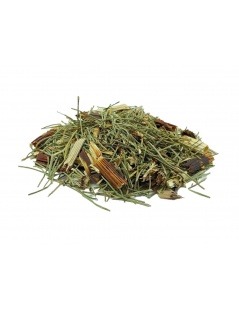 Chá de Cavalinha em Planta (Equisetum Arvense) - Ossos, Emagrecer, Próstata