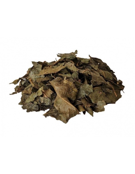 Bugre Herbal Tea leaves (Cordia salicifolia)