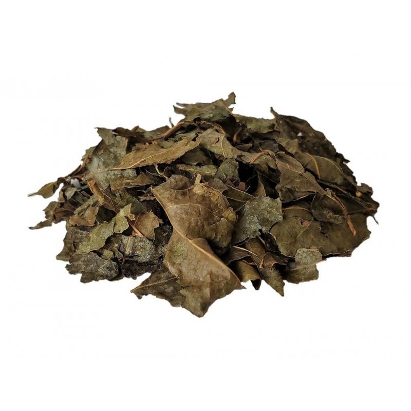 Bugre Tea leaves (Cordia...