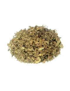 Java Herbal Tea leaves (Orthosiphon aristatus)
