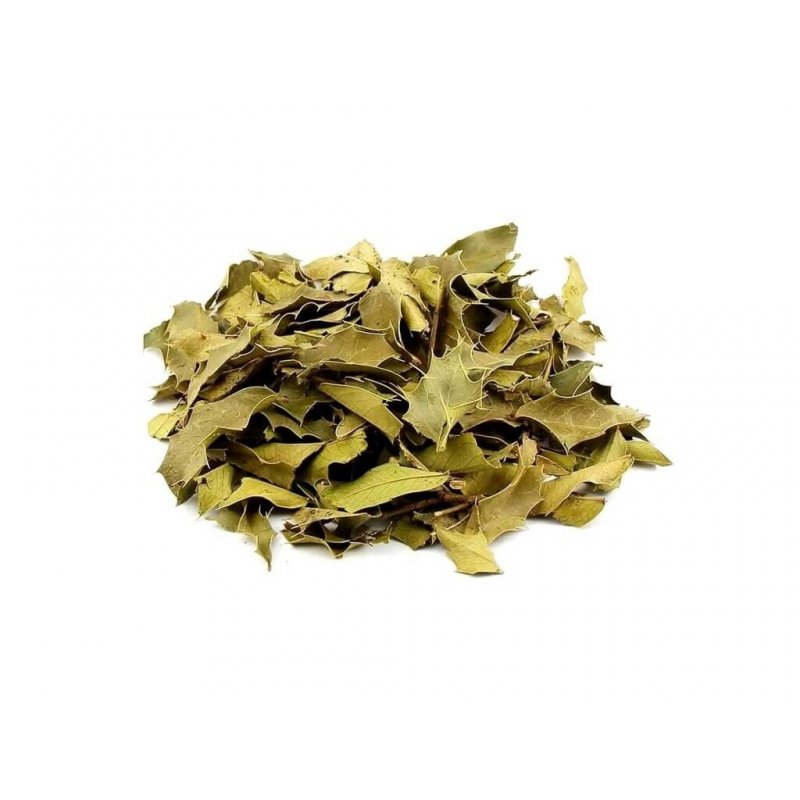 Chá de Espinheira Santa (Maytenus ilicifolia)