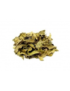 Espinheira Santa Herbal Tea (Maytenus ilicifolia)