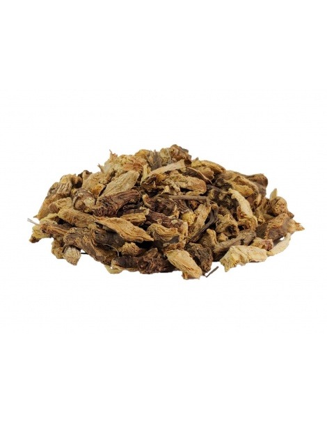Chá de Equinácea em raiz (Echinacea purpurea) - Gripe, Constipações, Febre, Influenze