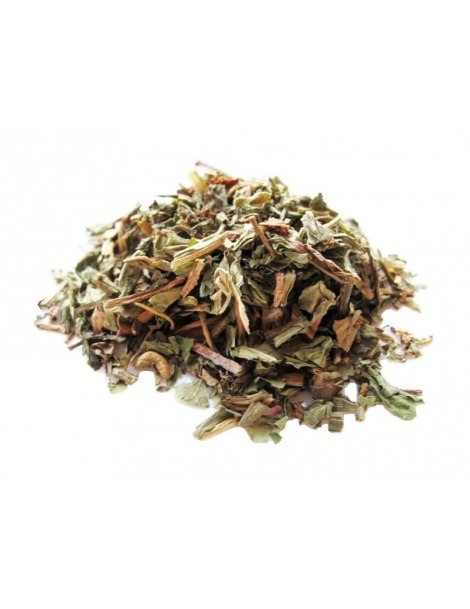 Chá de Dente de Leão em planta (Taraxacum officinale L.) - Fígado, Rins, Detox