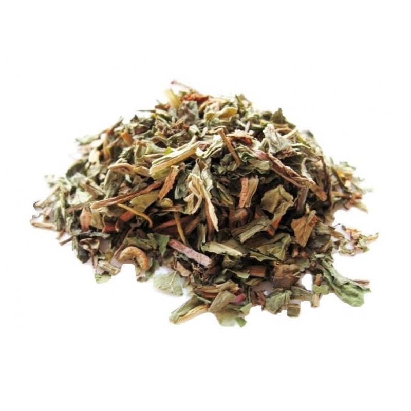 Dandelion Herbal Tea (Taraxacum officinale L.)