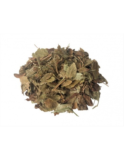 Bluberry Leaf Tea (Vaccinium Myrtillus)