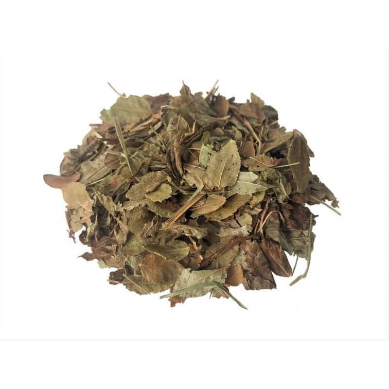 Chá de Mirtilos ou Chá de Arandos (Vaccinium Myrtillus)