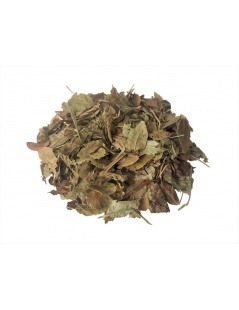 Chá de Mirtilos ou Chá de Arandos (Vaccinium Myrtillus)