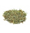 Losna Absinto, Planta (Artemisia absinthium L.)