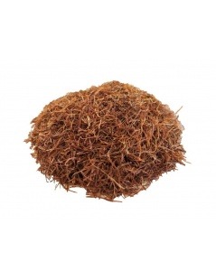 Corn Hair Herbal Tea (Zea Mays)