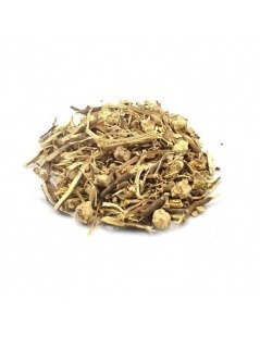 Chá de Salsaparrilha raiz - Smilax officinalis L.