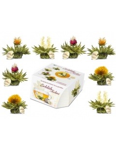 Caixa Tealini com 8 Flores de Chá
