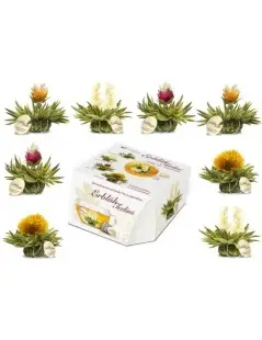 Tealini Box with 8 Blooming Teas | Flowering Teas | Tea Balls | Creano