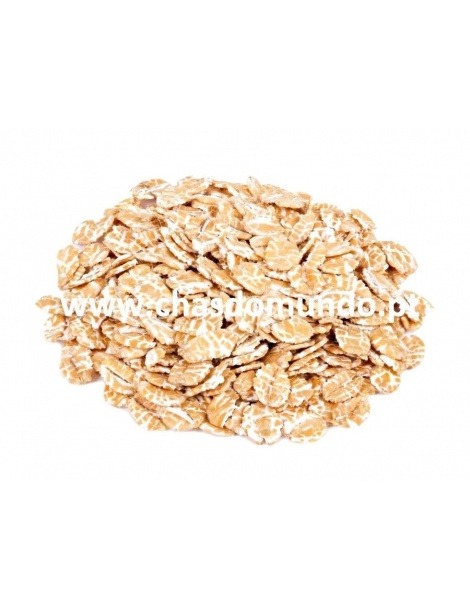 Wheat Flakes (Triticum vulgare)