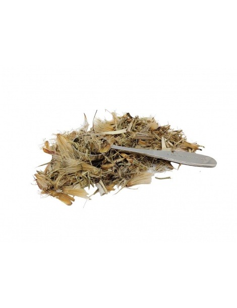 Chá de Alcachofra planta (Cynara scolymus)
