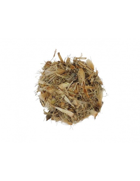 Chá de Alcachofra planta (Cynara scolymus)