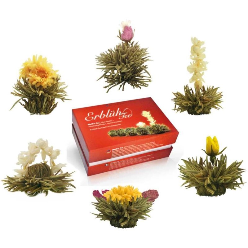 Caixa Creano com 6 Flores de Chá