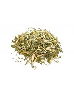 Chá de Arruda, Planta (Ruta graveolens L.)