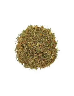 Hipericão, Planta (Hypericum perforatum) - Premium - Erva de São João
