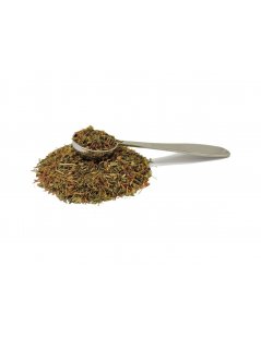 Hipericão, Planta (Hypericum perforatum) - Premium - Erva de São João
