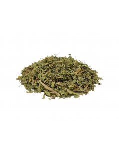 Zitronenstrauch, Blättern (Aloysia citrodora) - Premium