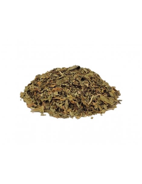 Papaya Herbal Leaf Tea (Carica papaya L.)