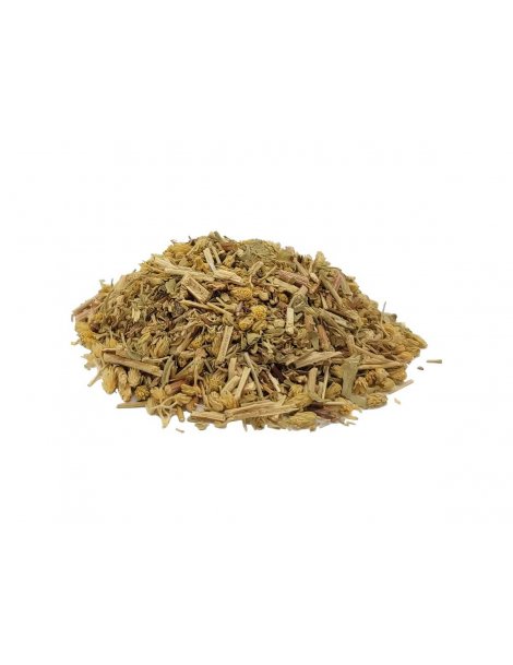 Schafgarbe Tee (Achillea milefollium)