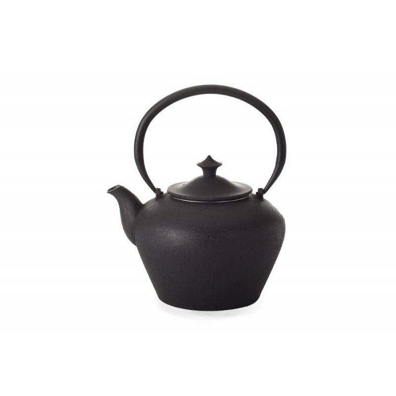 Iron Cast Teapot "Jixian" -...
