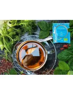 Thé Creano Rooibos Gentle Mood Bio 20 Sachets avez goût équilibré et sucré
