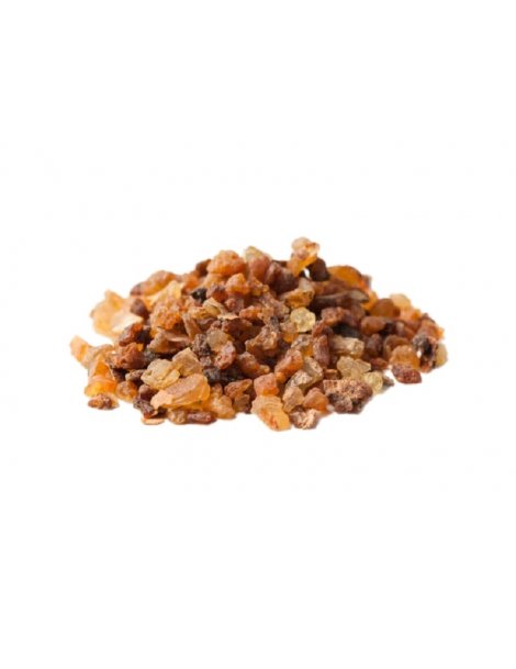 Mirra, grãos (Commiphora molmol Engler)