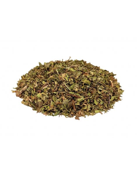 Spearmint leaves (Mentha spicata)