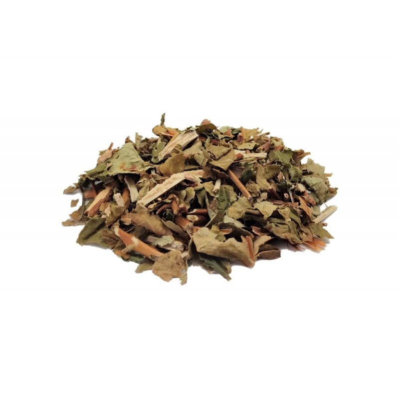 Chá de Hipericão do Gerês, Planta (Hypericum androsaemum)