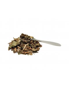 Chá de Hipericão do Gerês, Planta (Hypericum androsaemum) - Erva de São João