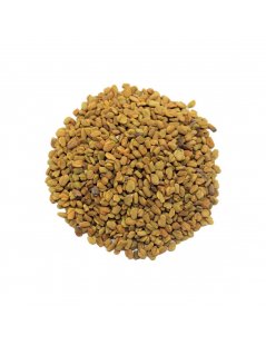 Graines de Fenugrec (Trigonella Foenum-graecum)