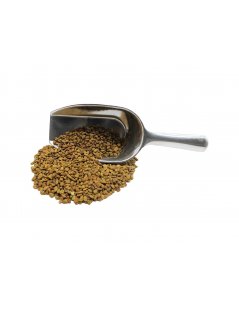 Fenugreek herbal Tea - Seeds Whole (Trigonella foenum-graecum L.)