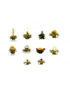 Pack com 10 Flores de Chá