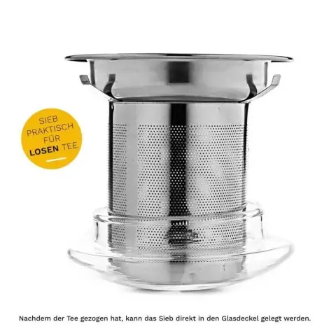 Tazza di Vetro Teaglass "All-In-One" - 400ml