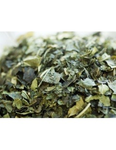 Maulbeerblätter Tee - Amora Miura Morus Nigra