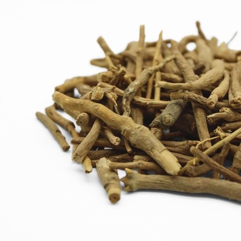 Ginseng Indiano, Ashwagandha (Withania Somnifera)