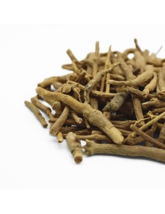 Ginseng Indiano, Ashwagandha (Withania Somnifera)