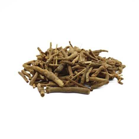 Ginseng Indiano, Ashwagandha (Withania Somnifera)