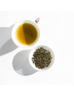 Chá Branco Pai Mu Tan - Camellia sinensis