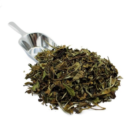 White Tea Pai Mu Tan