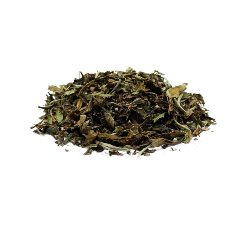 Tè bianco Pai Mu Tan - Camellia sinensis