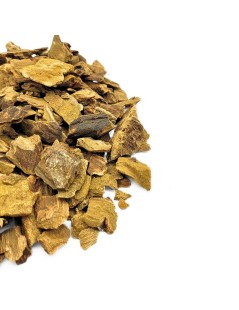 Rhubarb Root (Rheum palmatum L.) excellent Laxative and Digestive Tea