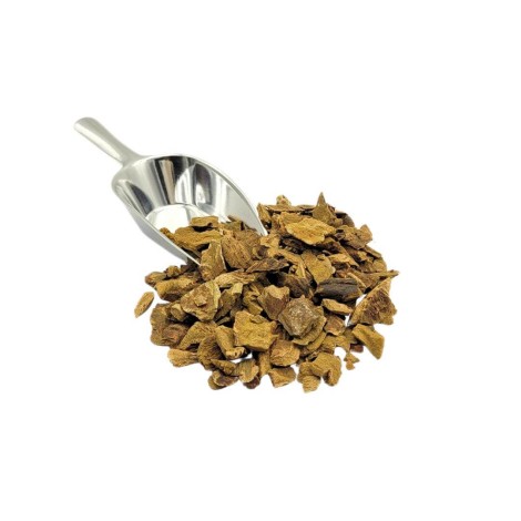 Rhubarb Root (Rheum palmatum L.) excellent Laxative and Digestive Tea