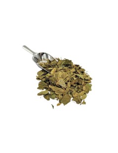 Té de hojas de Gymnema |  Gymnema sylvestris | Diabetes | Acción antioxidante